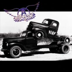 Aerosmith "Pump" LP