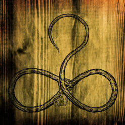 Bestia / Köis / Realm of Carnivora "Split" CD-R