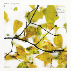 Dallas "Delay Lama" CD