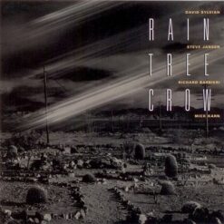 Rain Tree Crow "Rain Tree Crow" LP