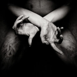 Shining "X - Varg Utan Flock" Digipak CD