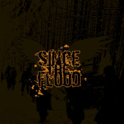 Since The Flood "Valor And Vengeance" CD