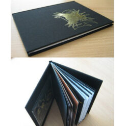 Taak "Rist viletsuse teel (Ltd.)" Raamat / CD