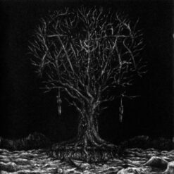 Thyrfing "Farsotstider (Ltd.)" Slipcase CD/DVD