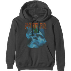 Pantera "Far Beyond Driven" Pusa / Hoodie