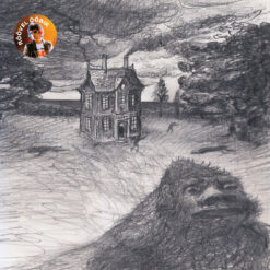 Röövel Ööbik "Transcend" LP