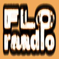 Florian Wahl "Flo Raadio" LP