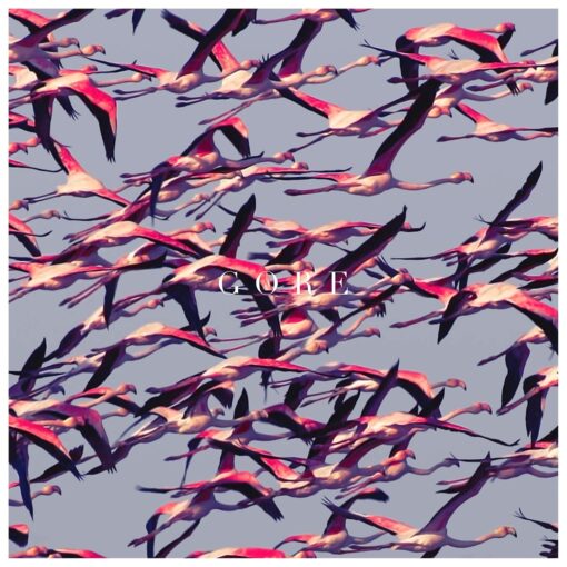 Deftones "Gore" Gatefold 2LP