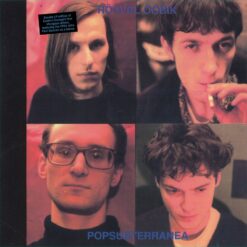 Röövel Ööbik "Popsubterranea" 2LP