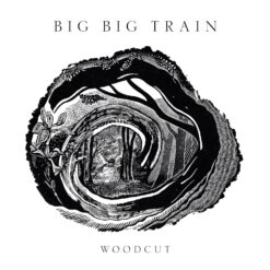 Big Big Train "Woodcut" 2LP (POODI SAABUMAS)