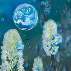 Pajuke (Robert Jürjendal & Arvo Urb) "Pajuke" CD